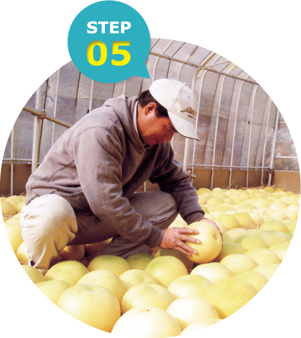 11月中旬～:仕上げ(熟成)